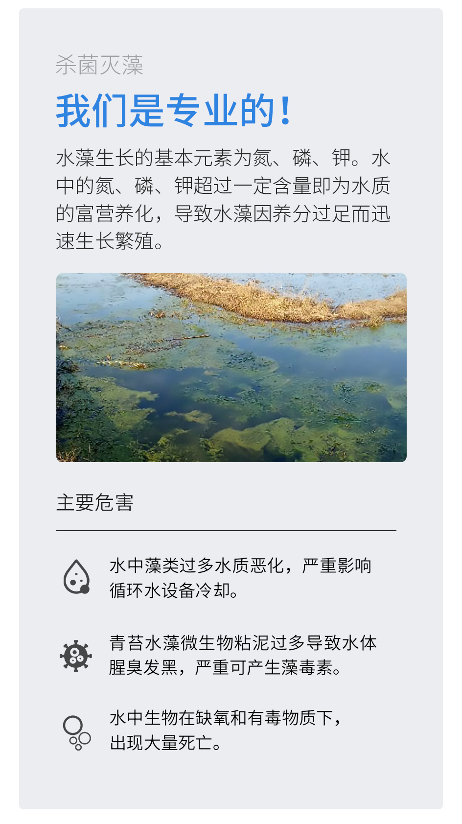 杀菌灭藻剂_02.jpg